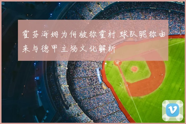 霍芬海姆为何被称霍村 球队昵称由来与德甲主场文化解析